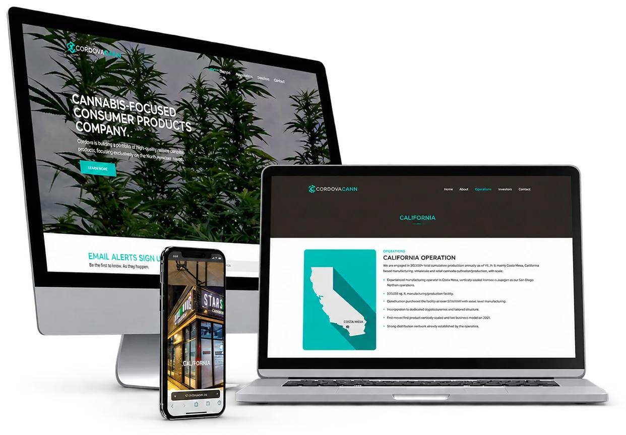 Consumer products company website on a desktop, laptop and phone